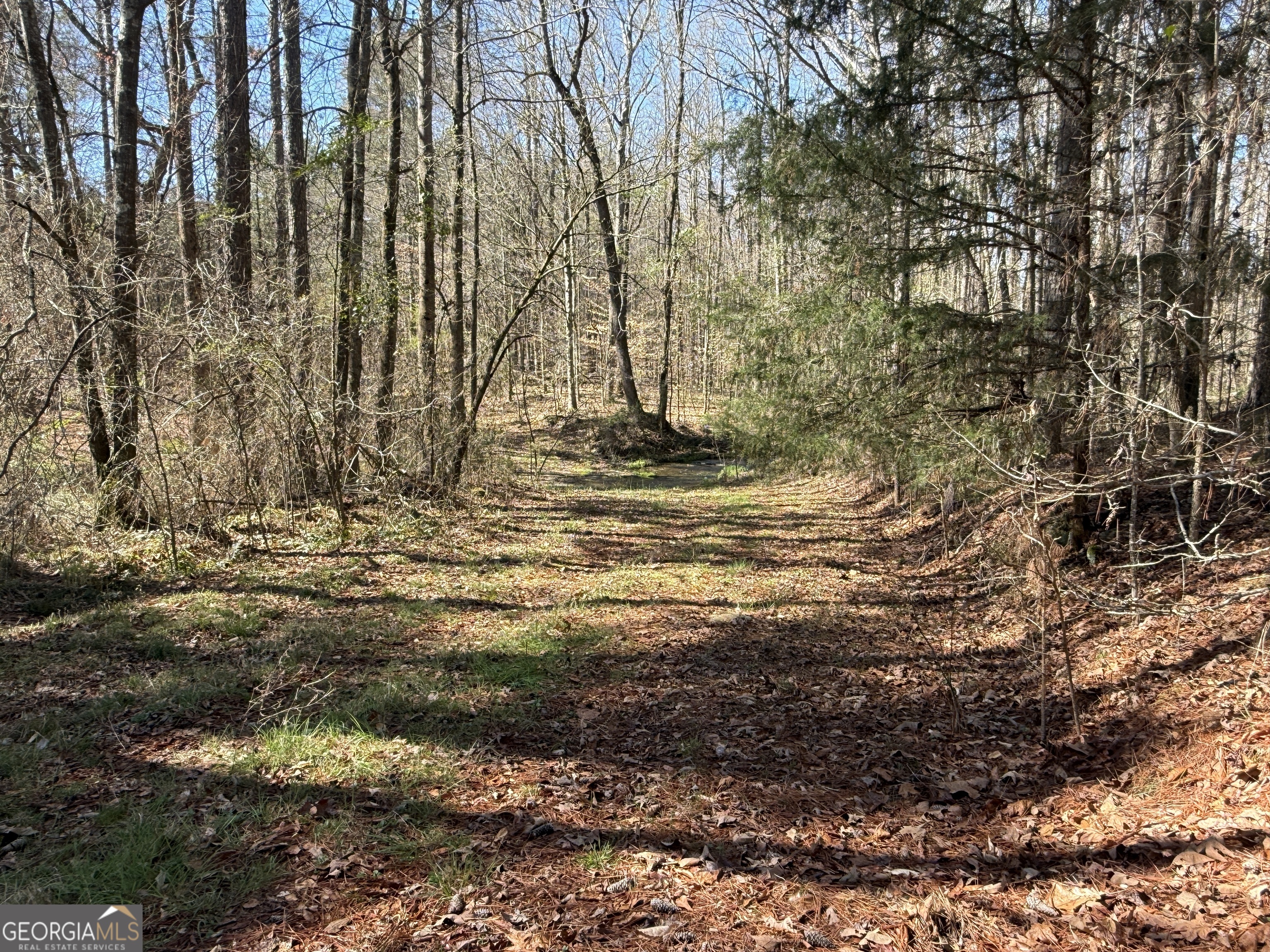 2375 Factory Hole Drive Bowman GA 30624