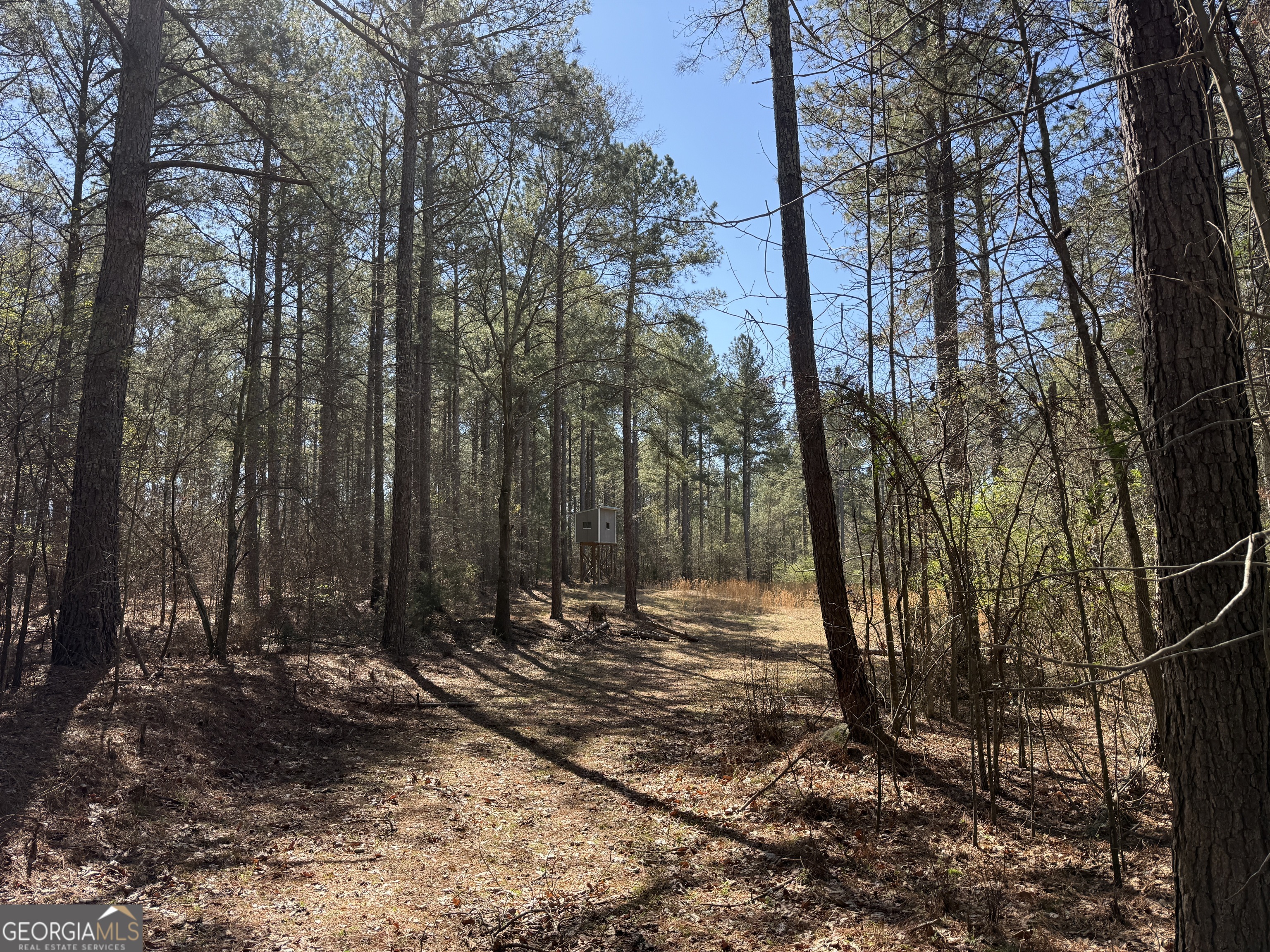 2375 Factory Hole Drive Bowman GA 30624
