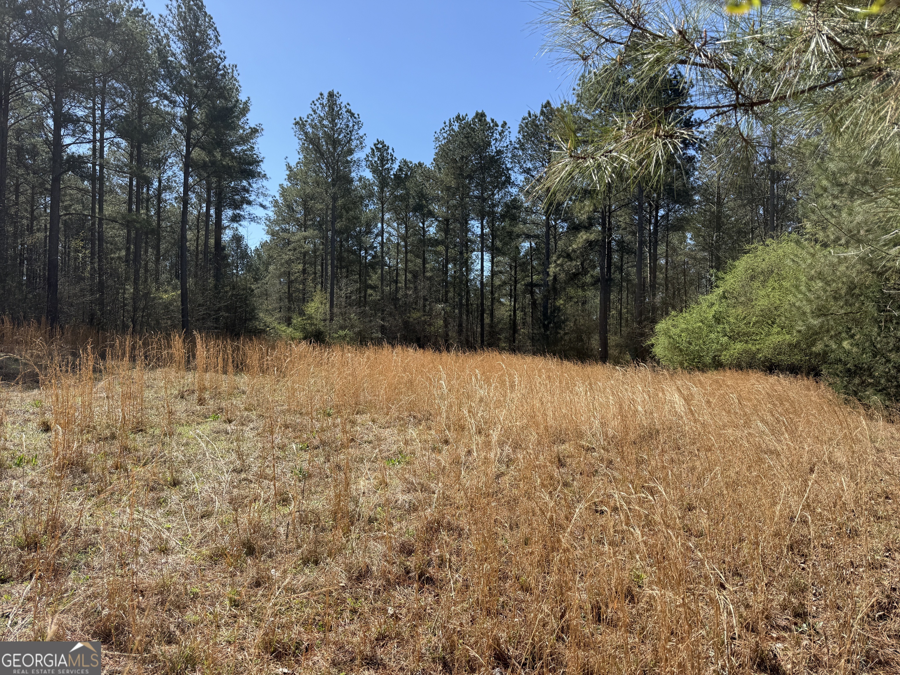 2375 Factory Hole Drive Bowman GA 30624