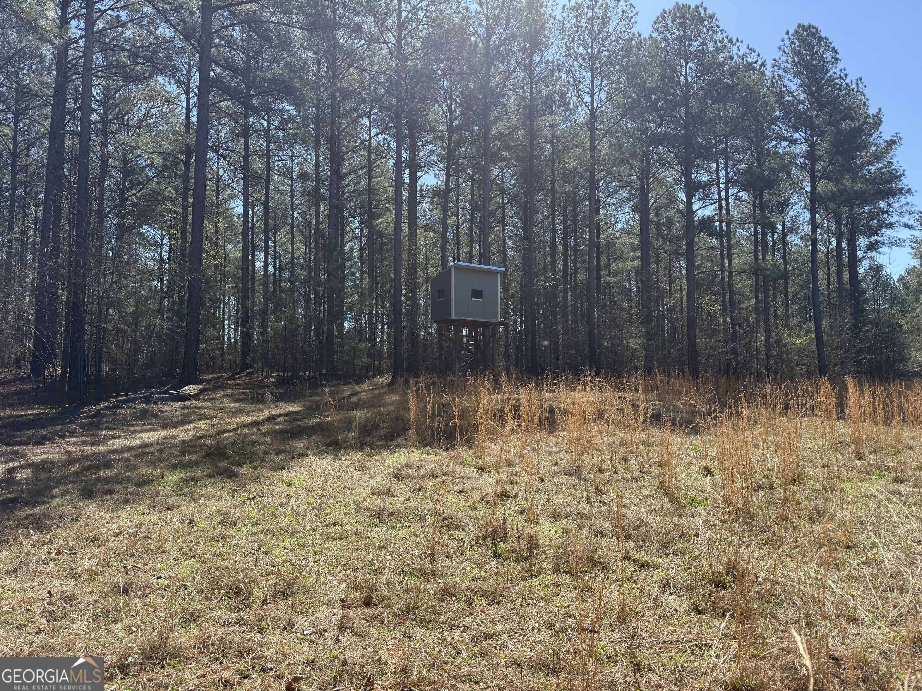 2375 Factory Hole Drive Bowman GA 30624