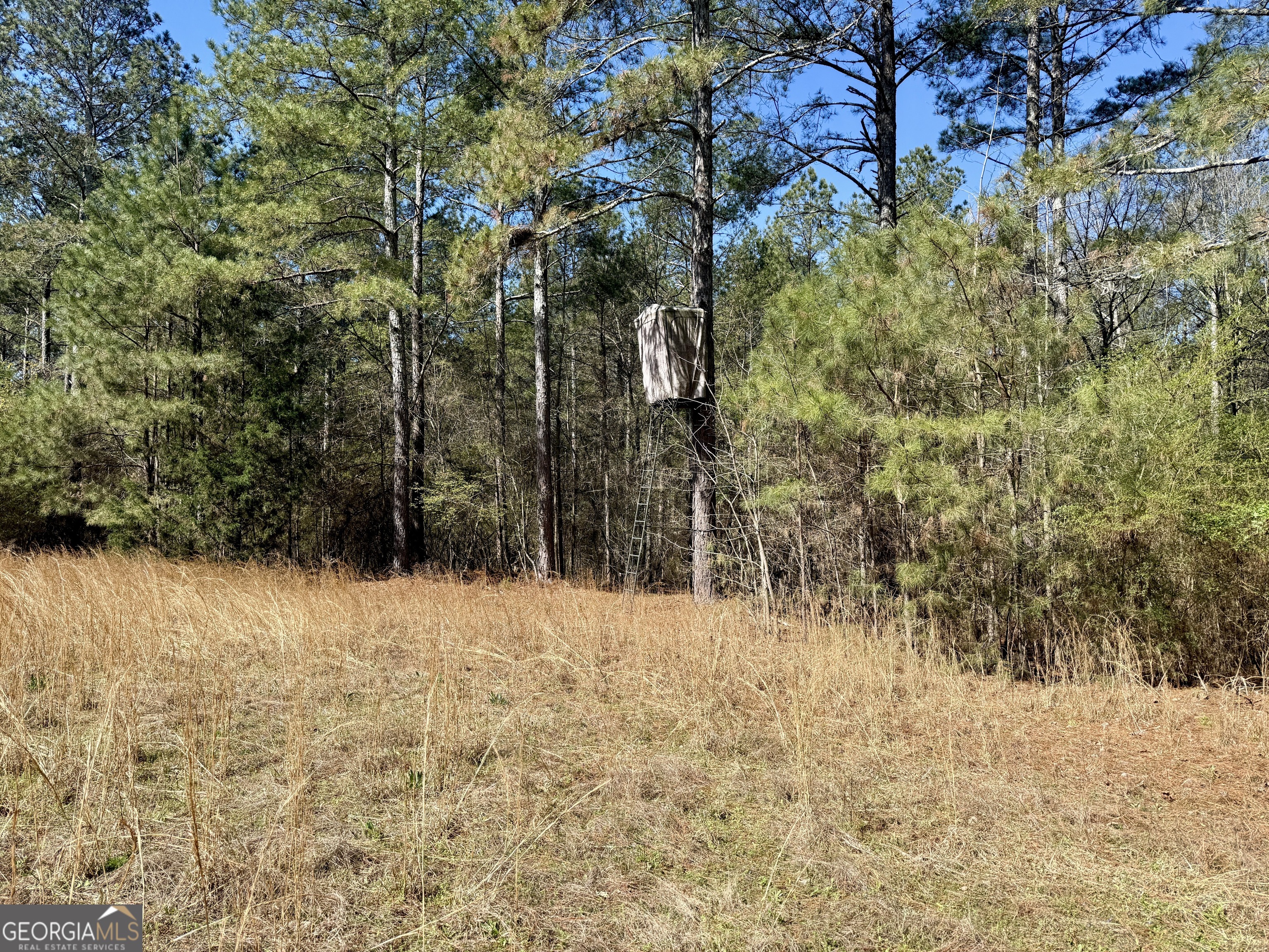2375 Factory Hole Drive Bowman GA 30624