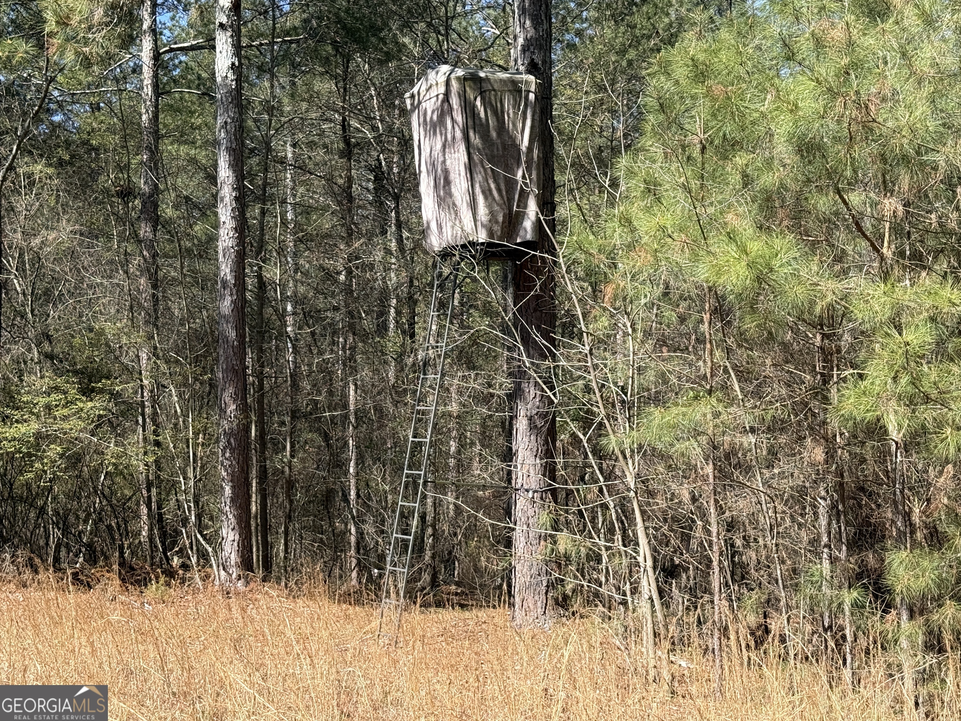 2375 Factory Hole Drive Bowman GA 30624
