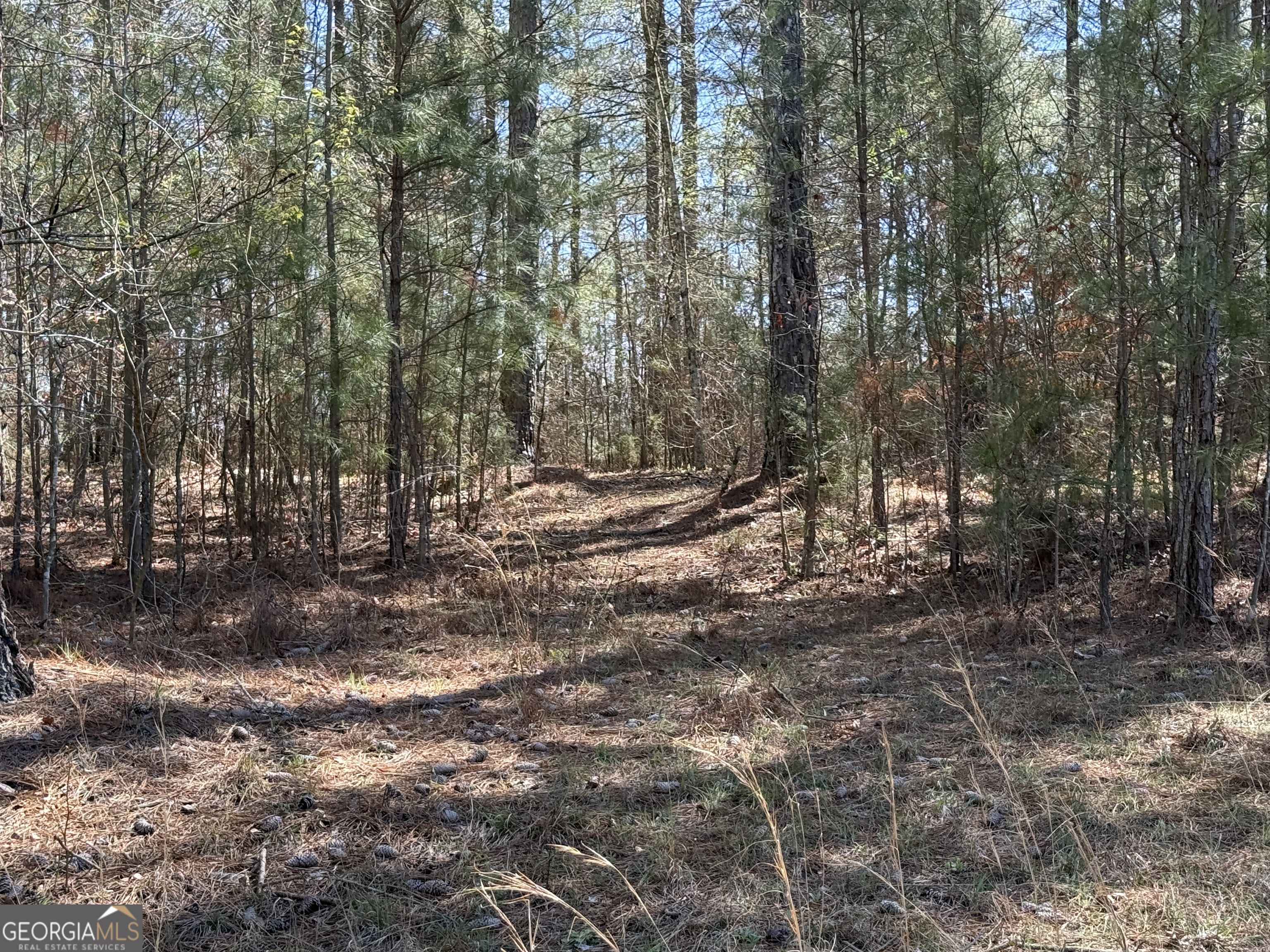 2375 Factory Hole Drive Bowman GA 30624