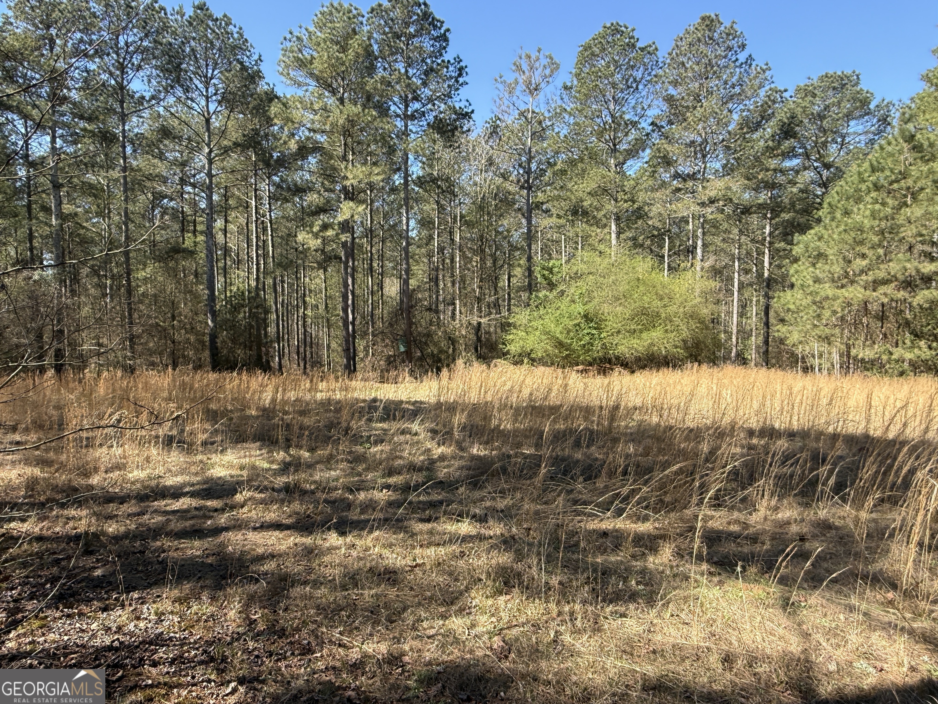2375 Factory Hole Drive Bowman GA 30624