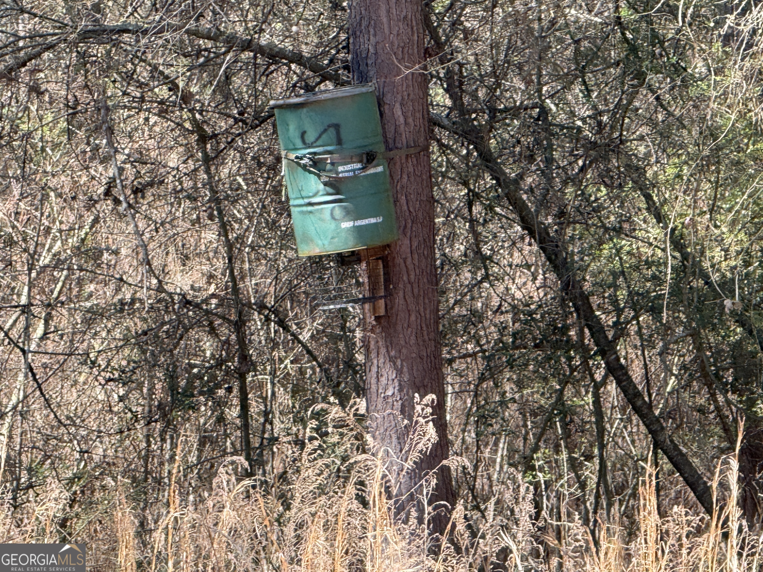 2375 Factory Hole Drive Bowman GA 30624