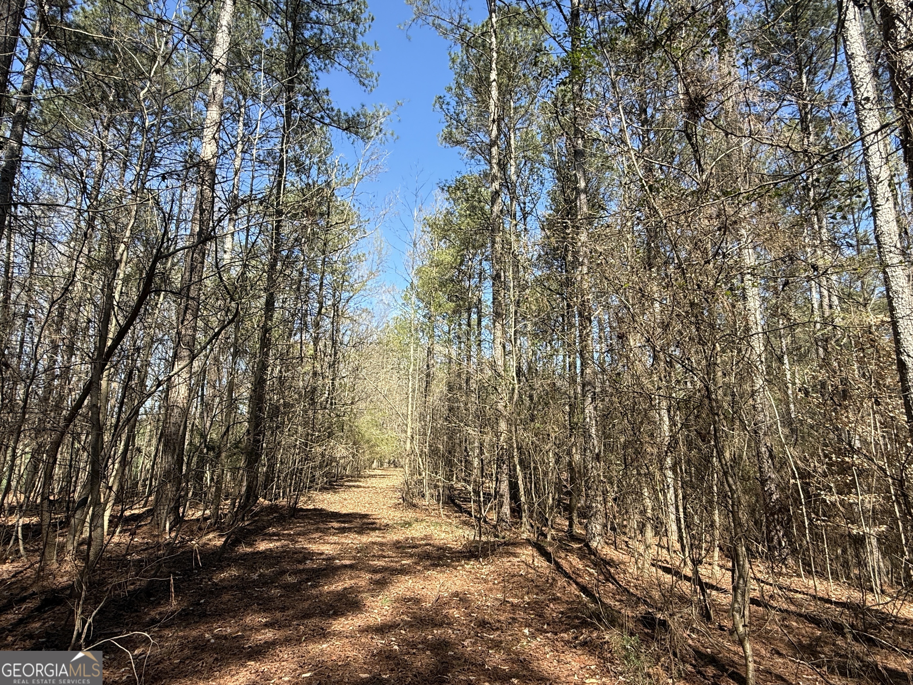 2375 Factory Hole Drive Bowman GA 30624