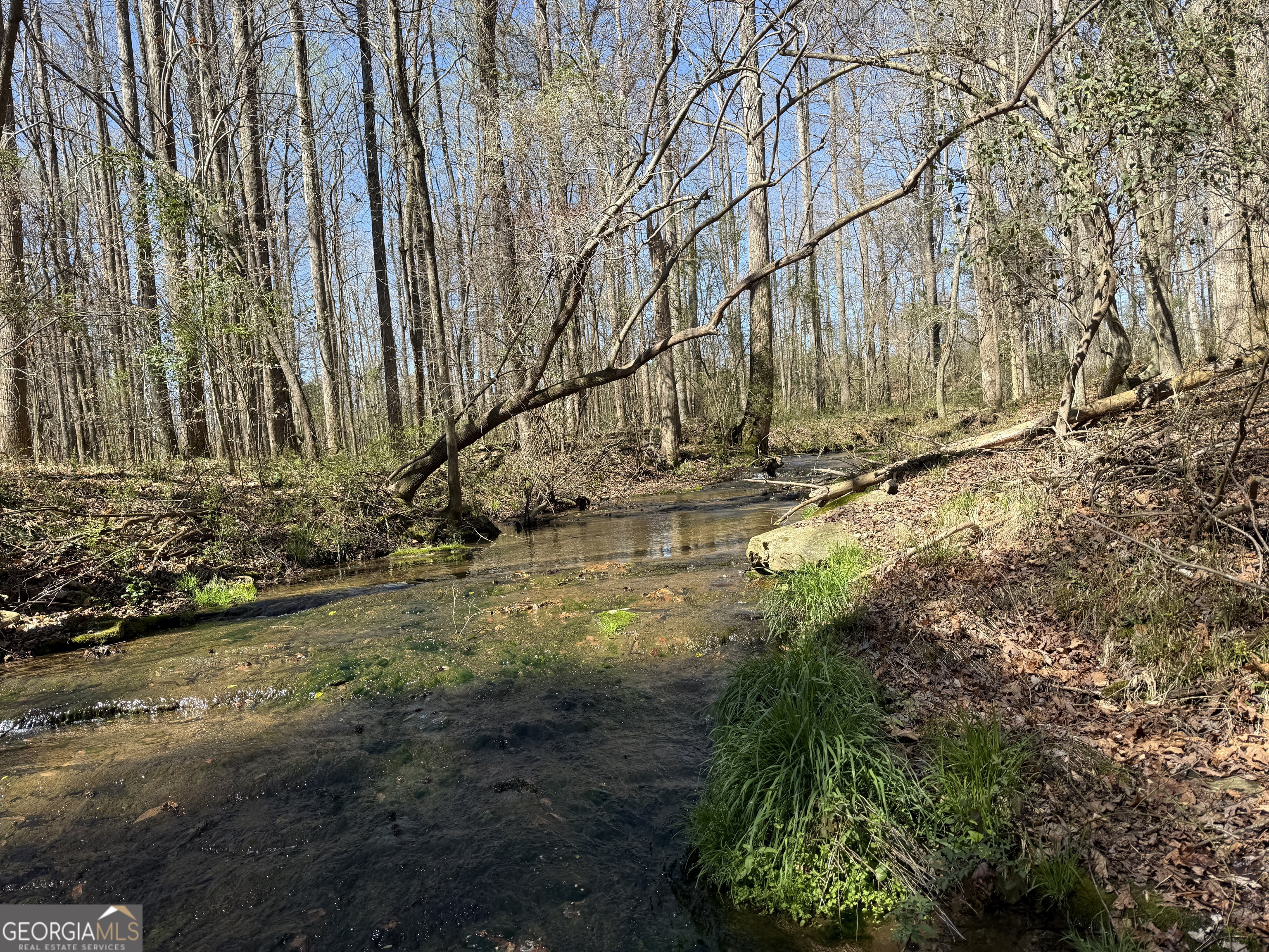 2375 Factory Hole Drive Bowman GA 30624