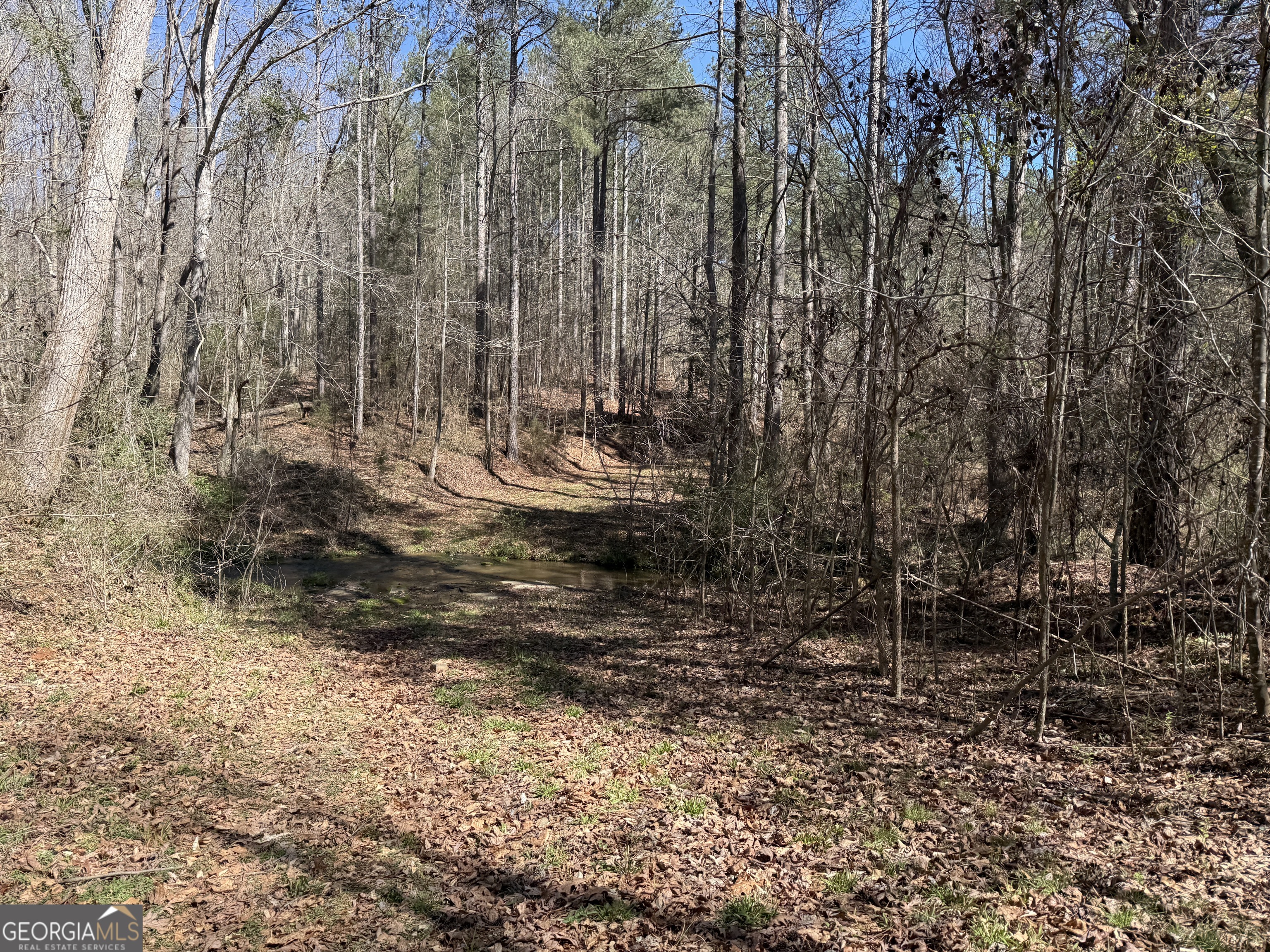 2375 Factory Hole Drive Bowman GA 30624
