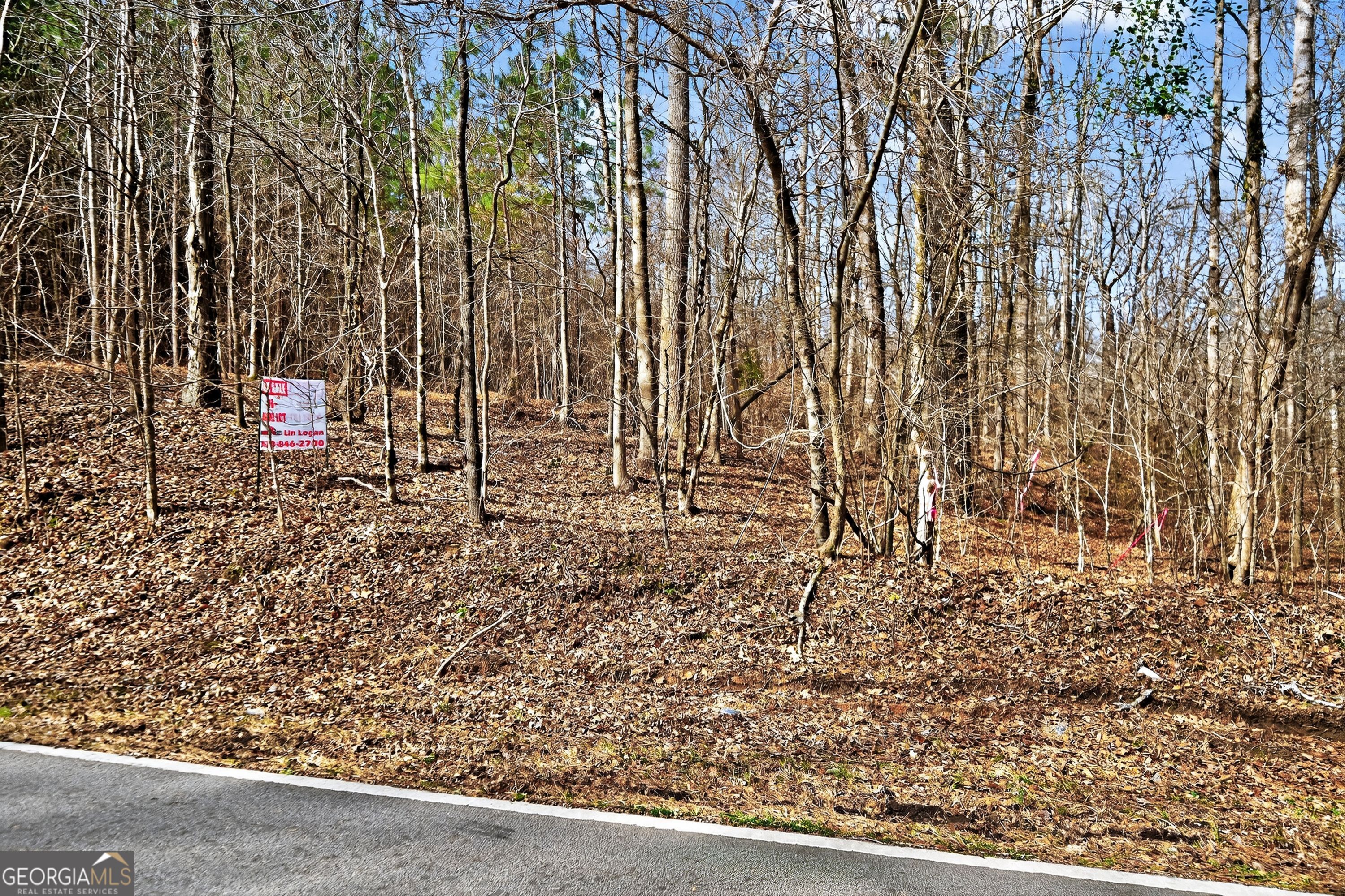 Lots 1/2/3 Lower Harmony Road Eatonton GA 31024