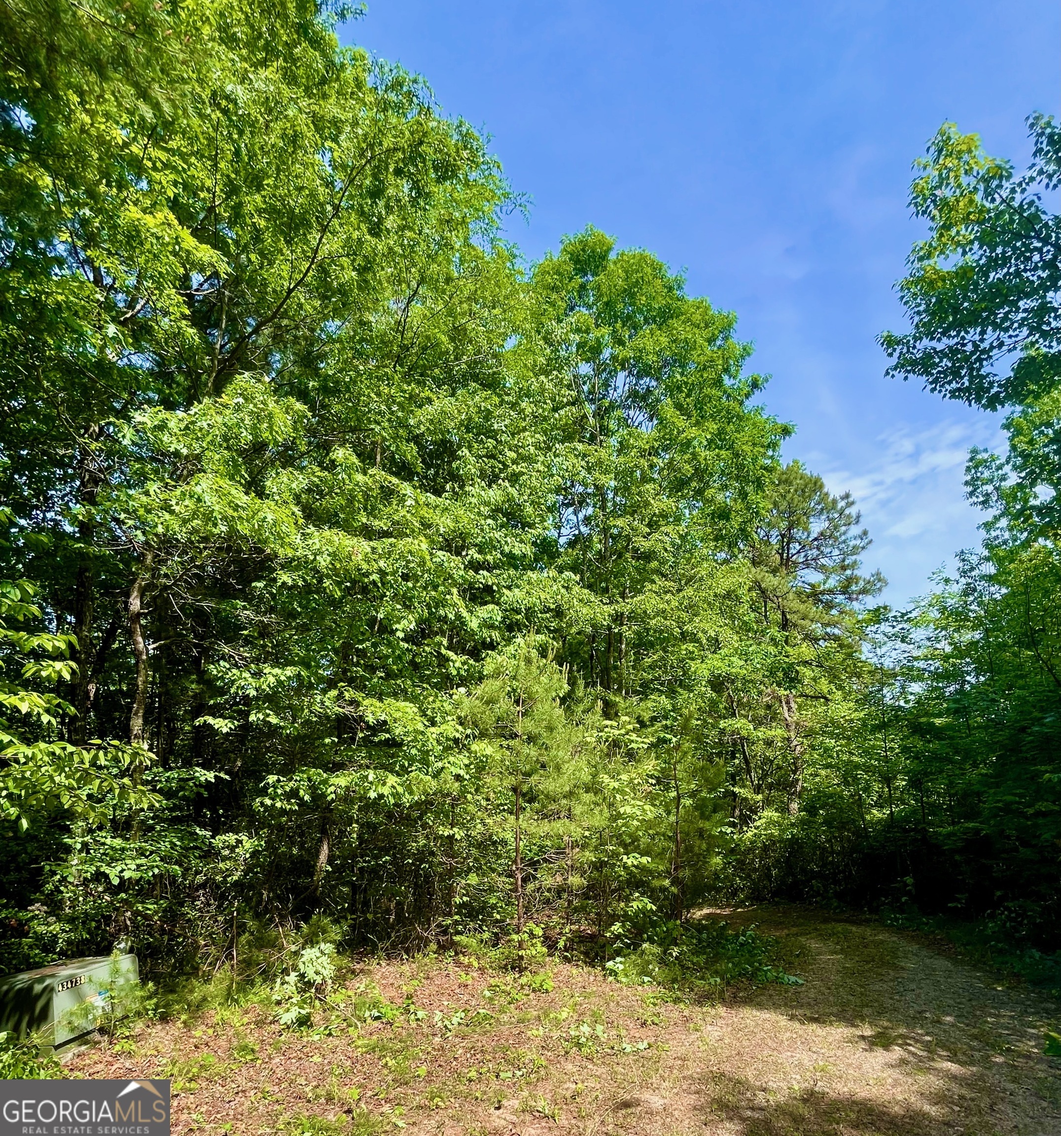 0 Bluff Mountain Dillard GA 30537