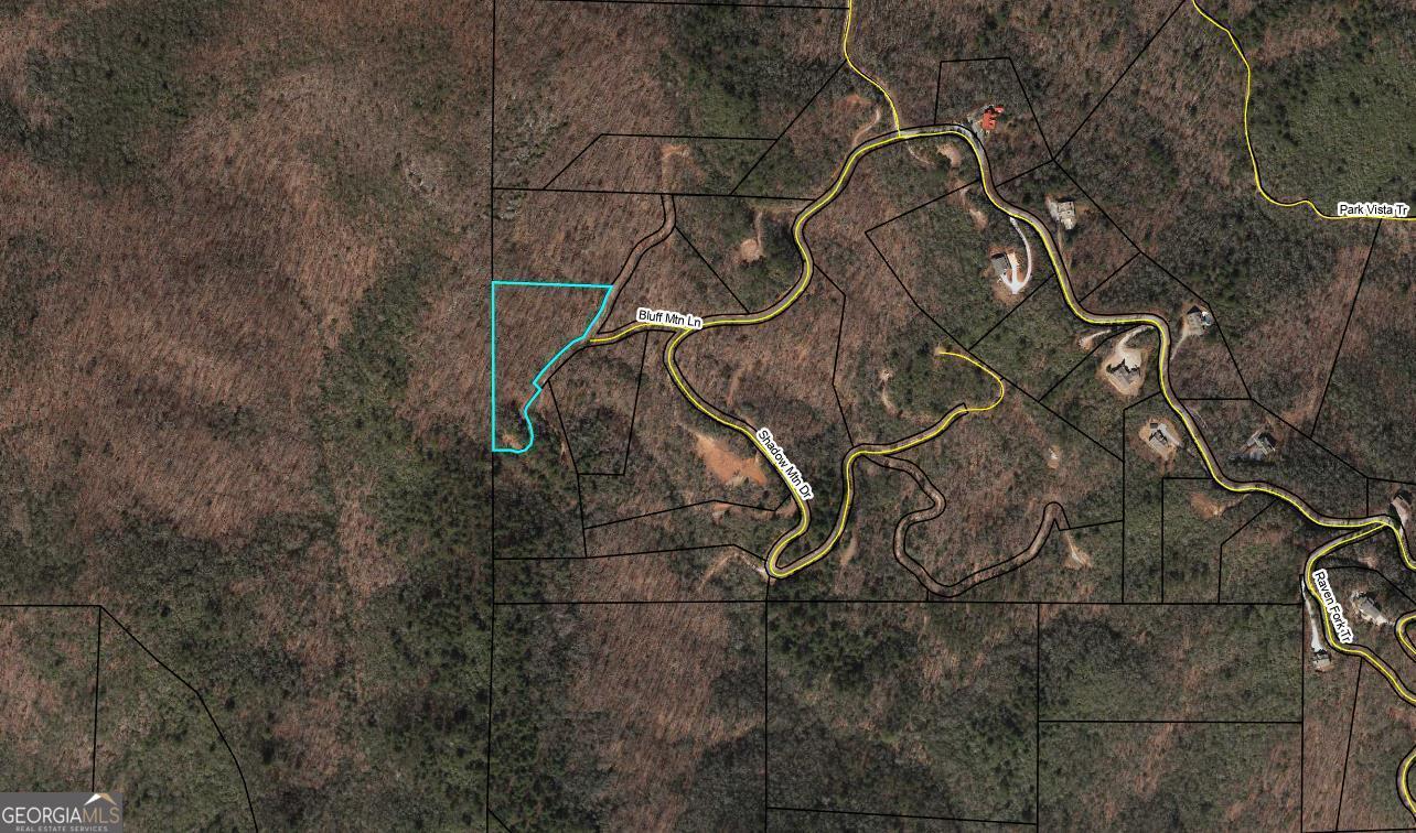 0 Bluff Mountain Dillard GA 30537