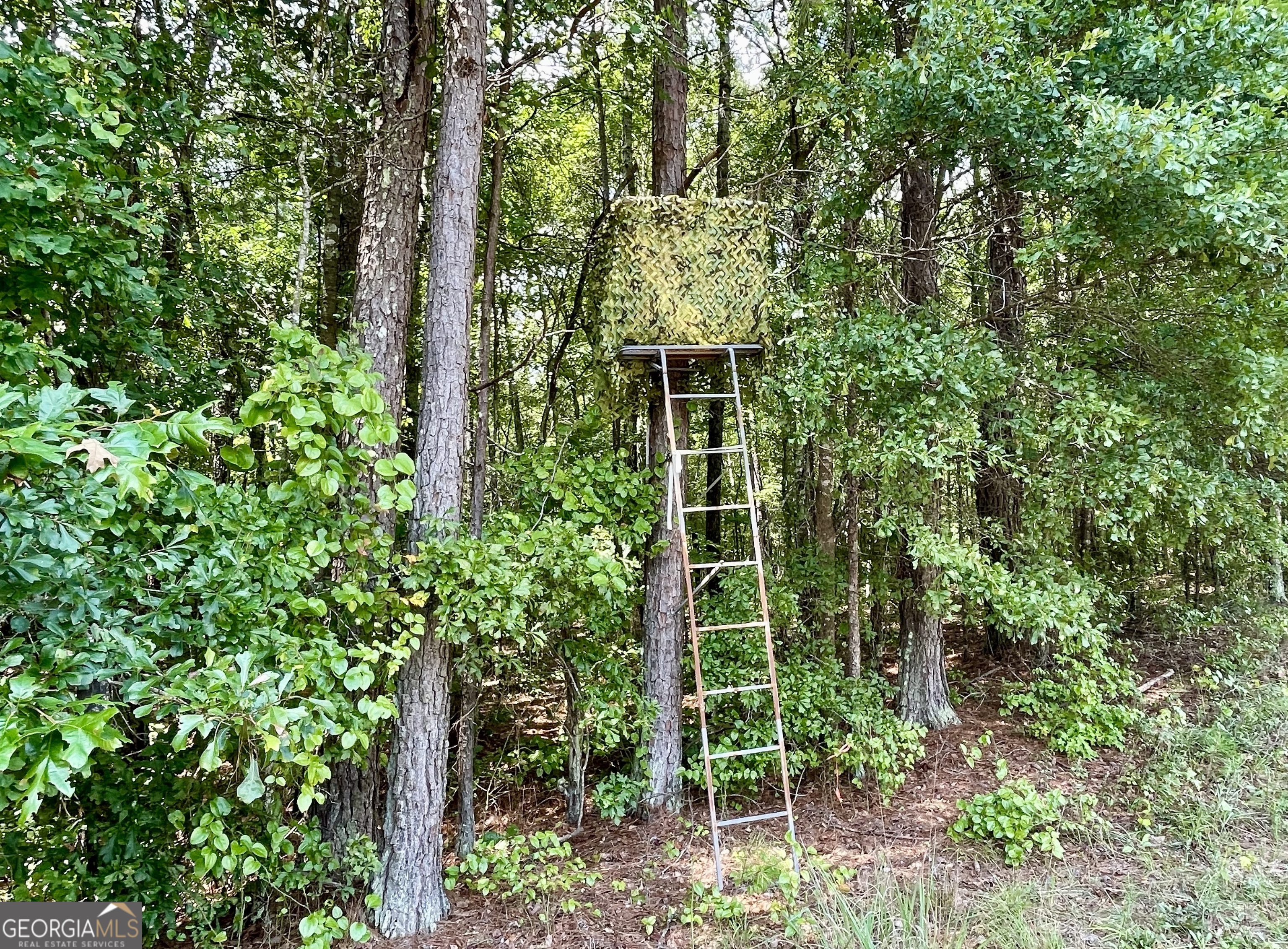 0 Welcome To Arnco Road Newnan GA 30263