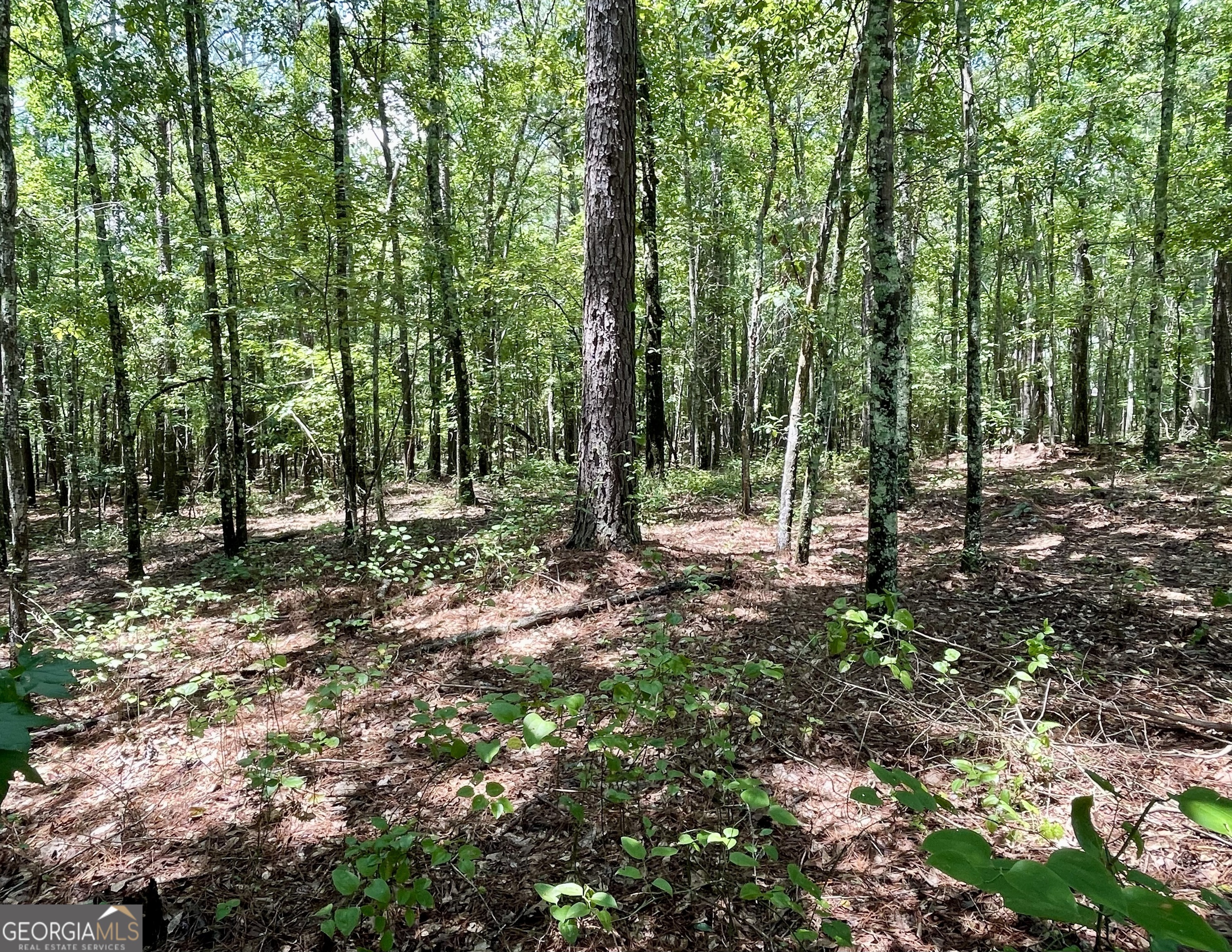 0 Welcome To Arnco Road Newnan GA 30263
