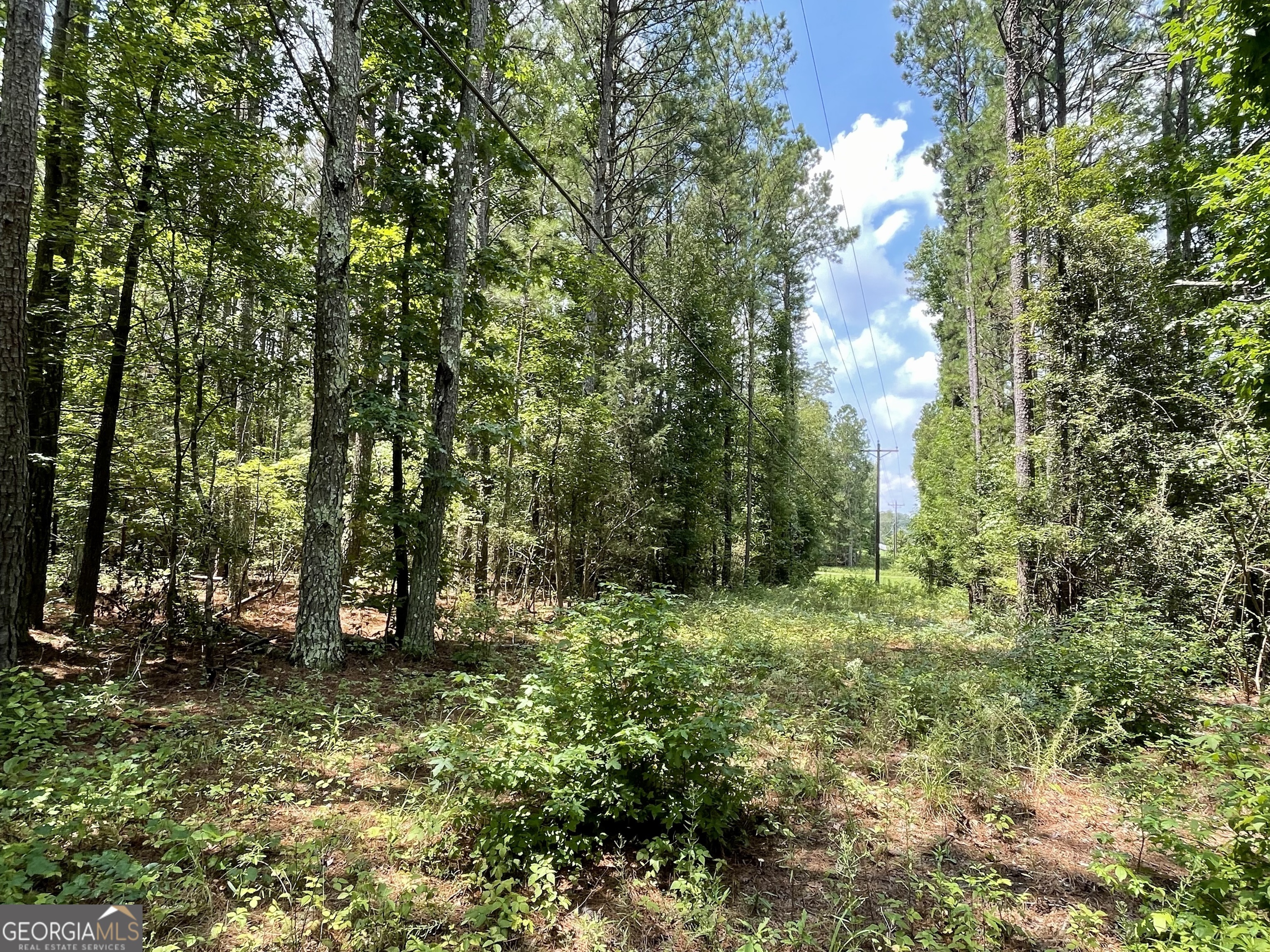 0 Welcome To Arnco Road Newnan GA 30263