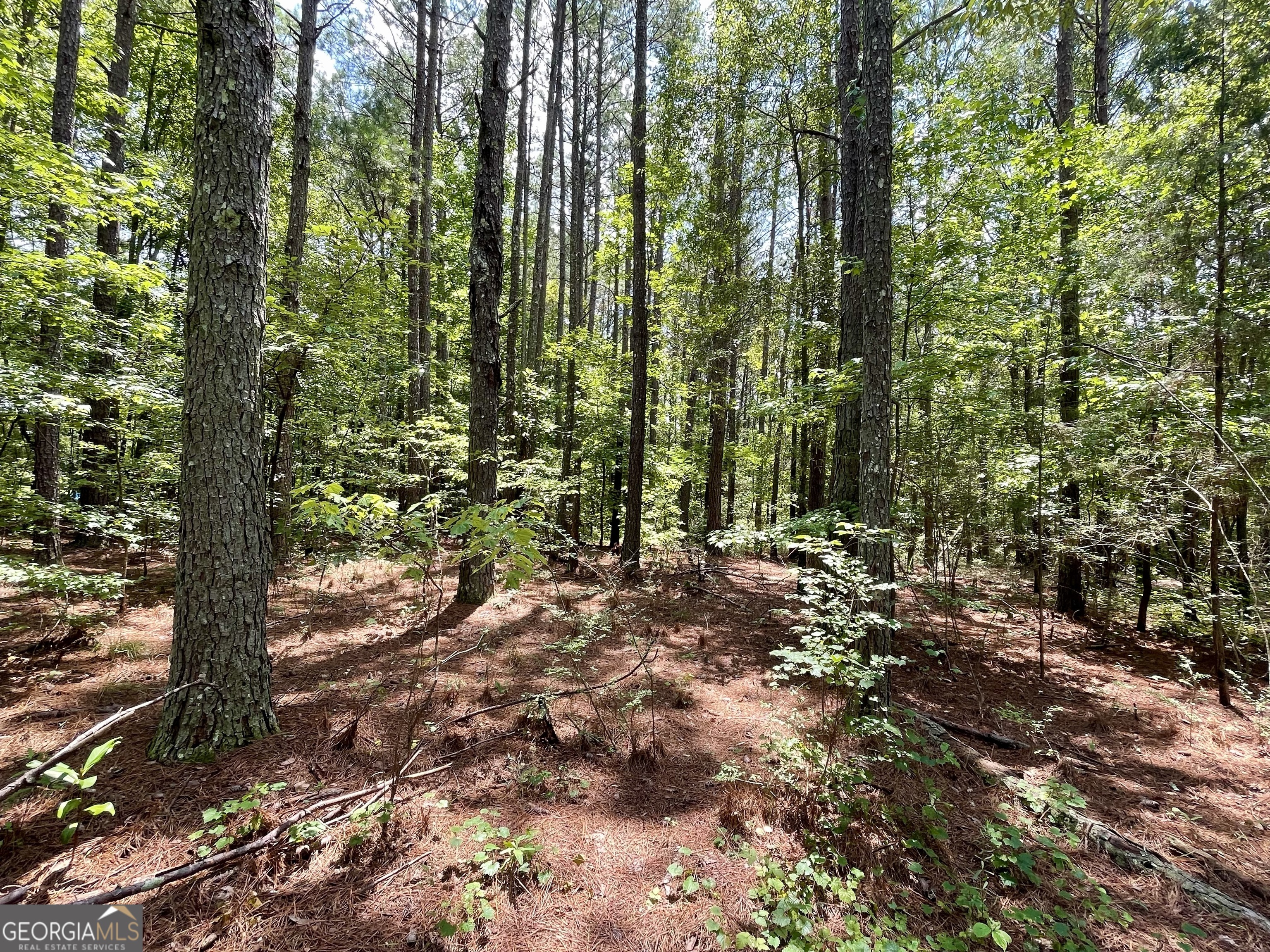 0 Welcome To Arnco Road Newnan GA 30263