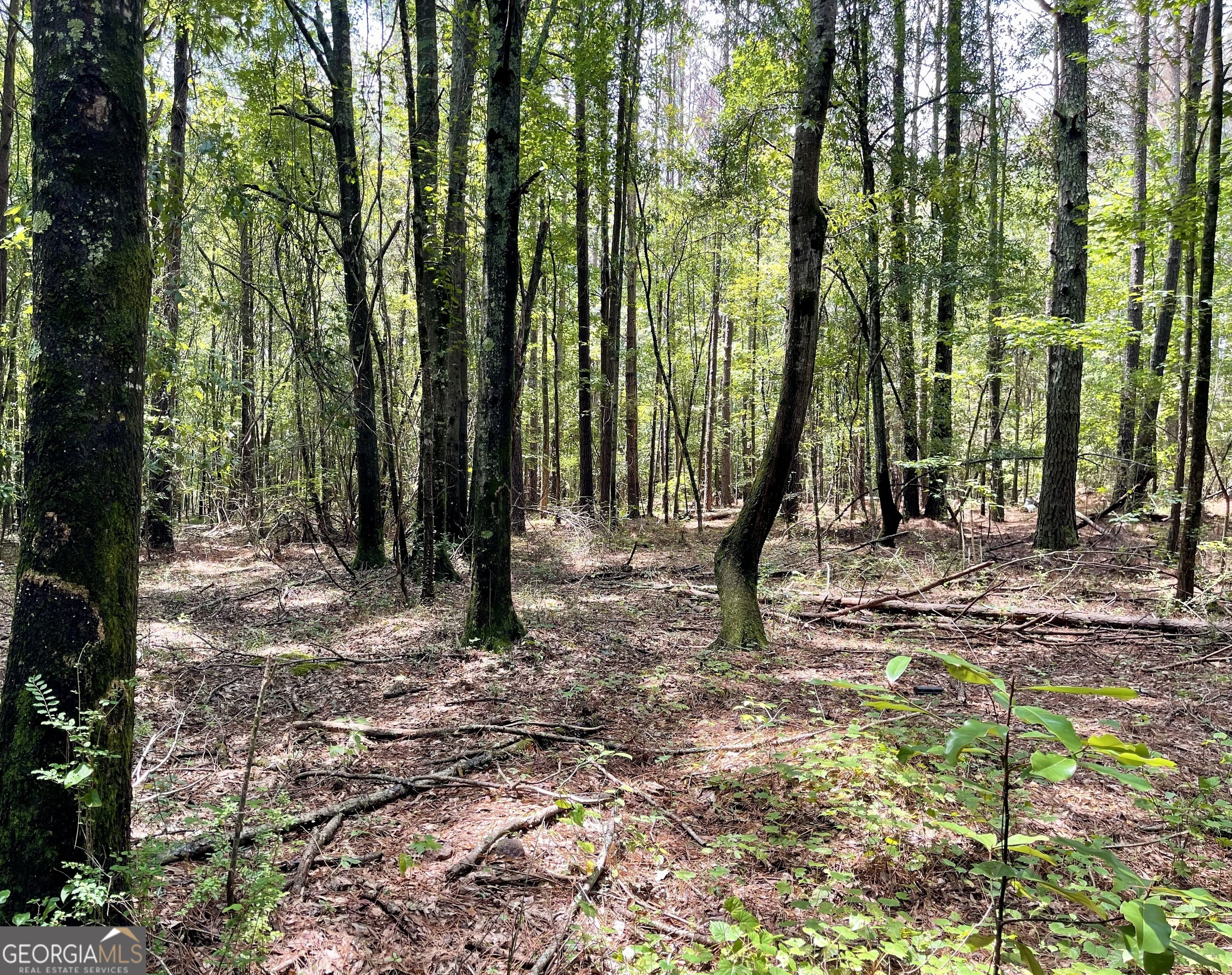 0 Welcome To Arnco Road Newnan GA 30263