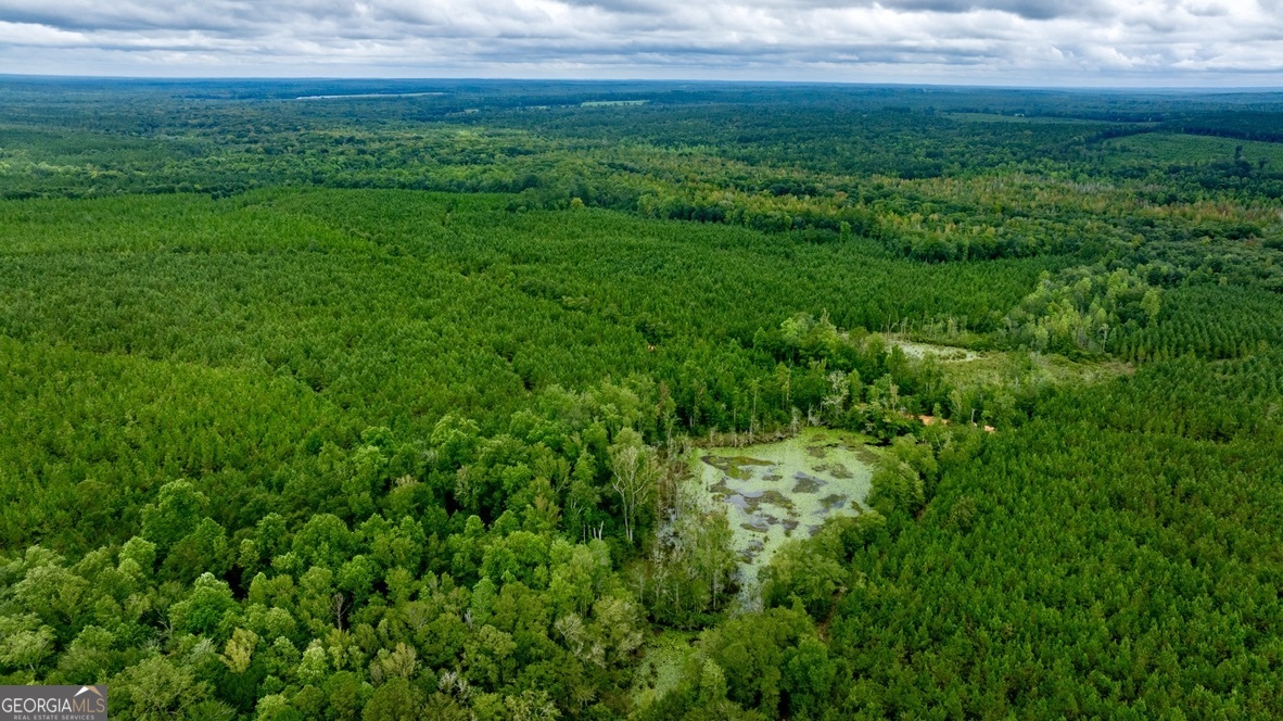 0 Pine Creek Road Ellaville GA 31806