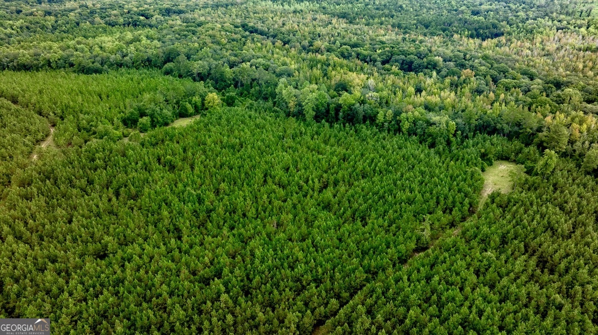 0 Pine Creek Road Ellaville GA 31806