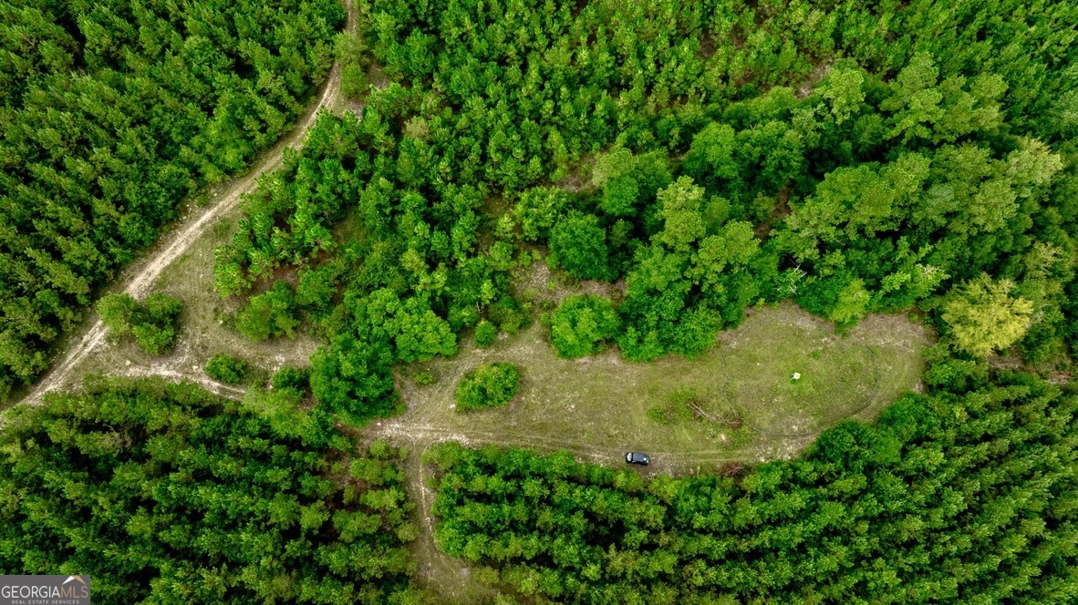 0 Pine Creek Road Ellaville GA 31806