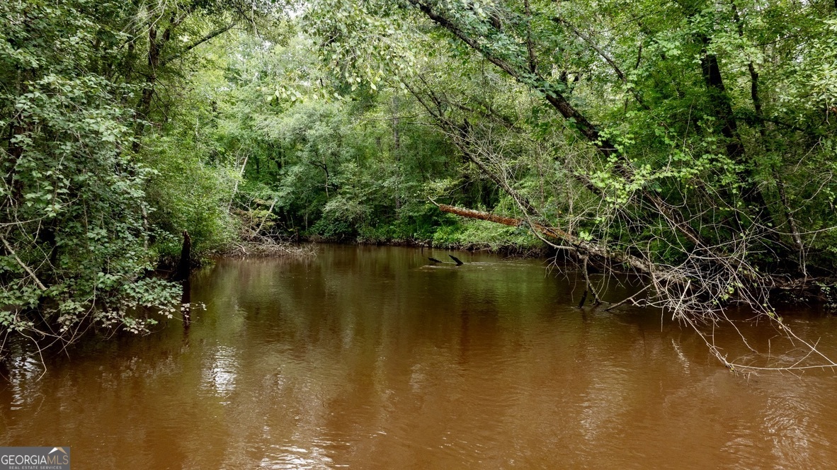0 Pine Creek Road Ellaville GA 31806
