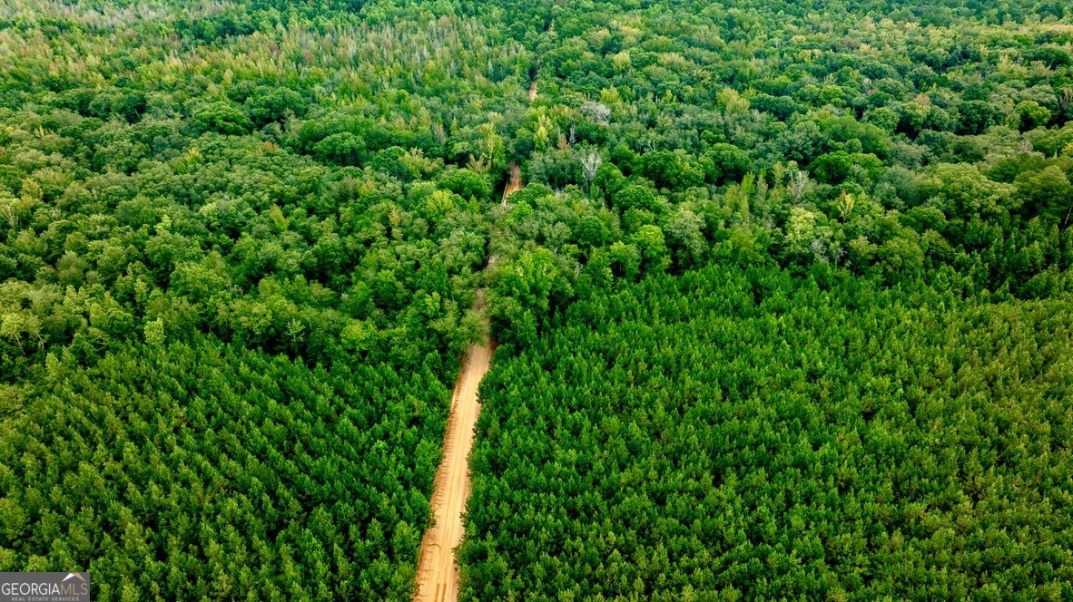 0 Pine Creek Road Ellaville GA 31806