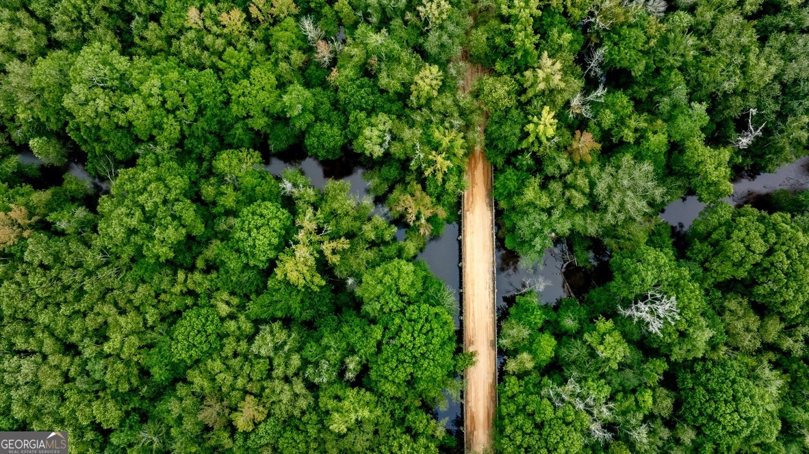0 Pine Creek Road Ellaville GA 31806
