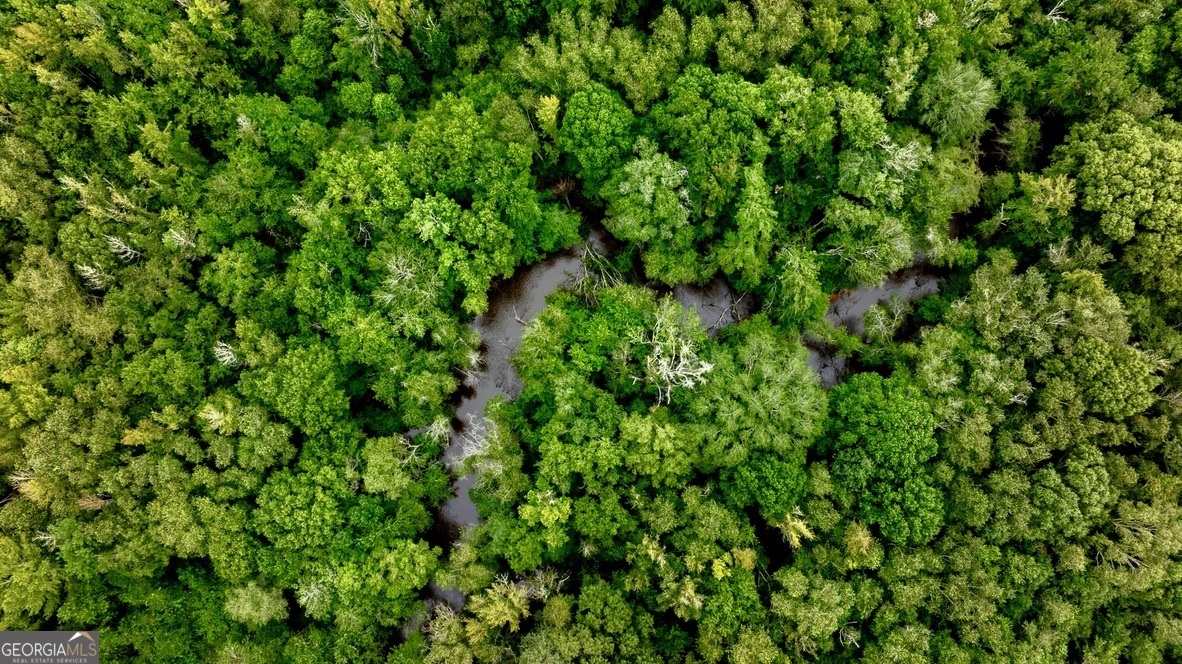 0 Pine Creek Road Ellaville GA 31806
