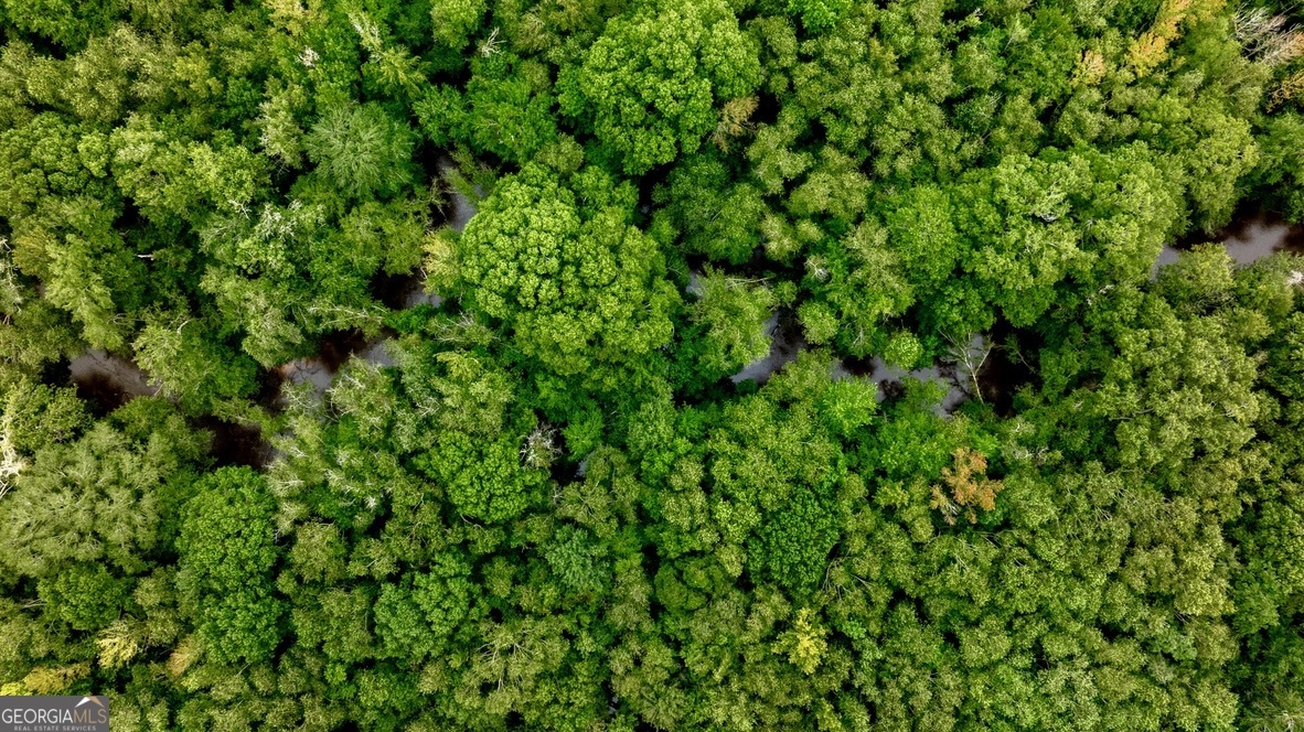 0 Pine Creek Road Ellaville GA 31806