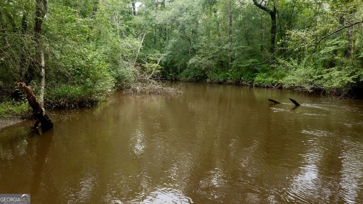 0 Pine Creek Road Ellaville GA 31806