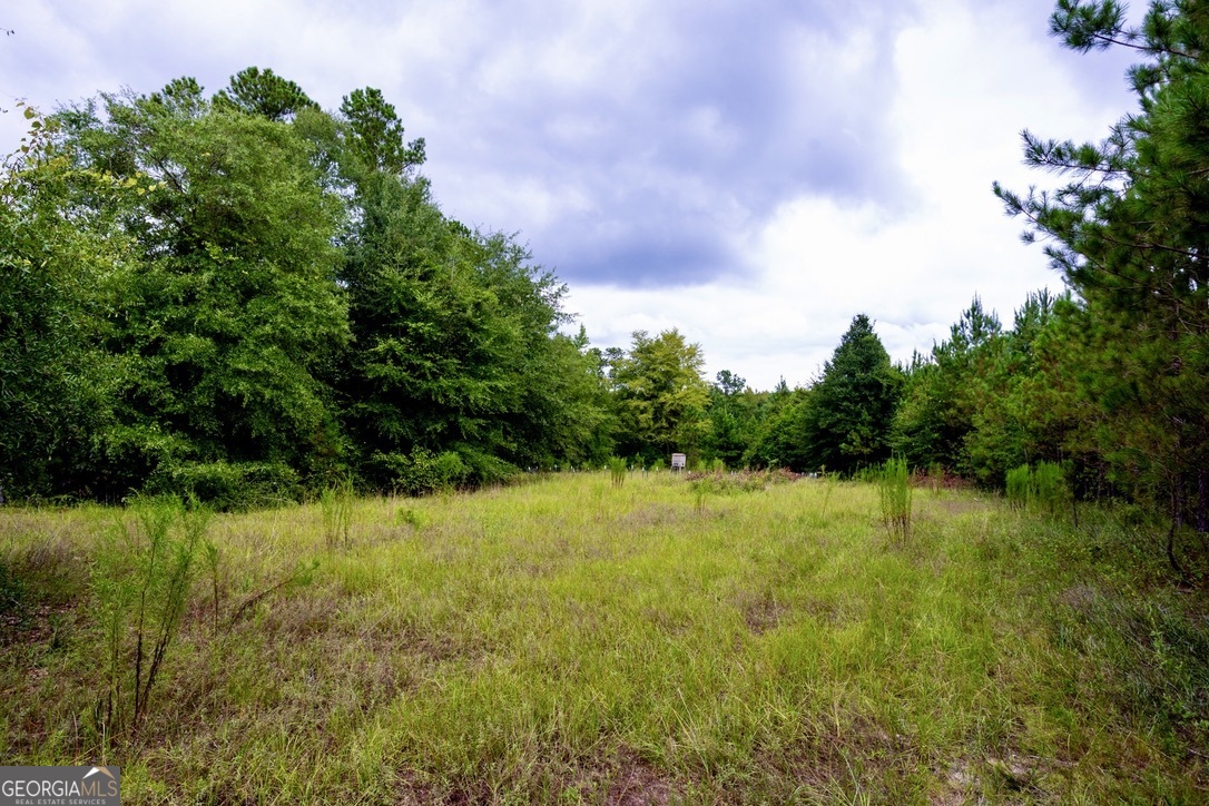 0 Pine Creek Road Ellaville GA 31806