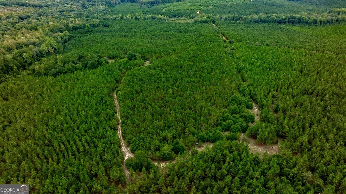 0 Pine Creek Road Ellaville GA 31806