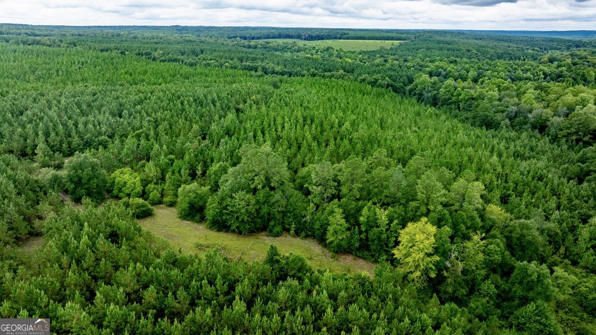 0 Pine Creek Road Ellaville GA 31806
