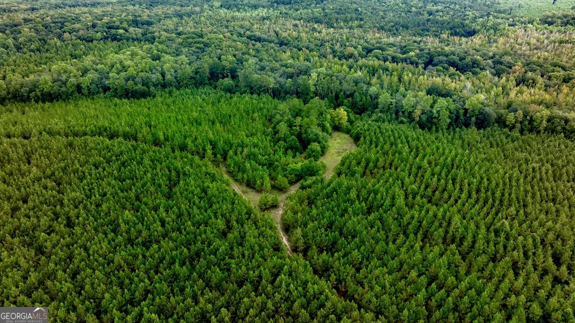 0 Pine Creek Road Ellaville GA 31806