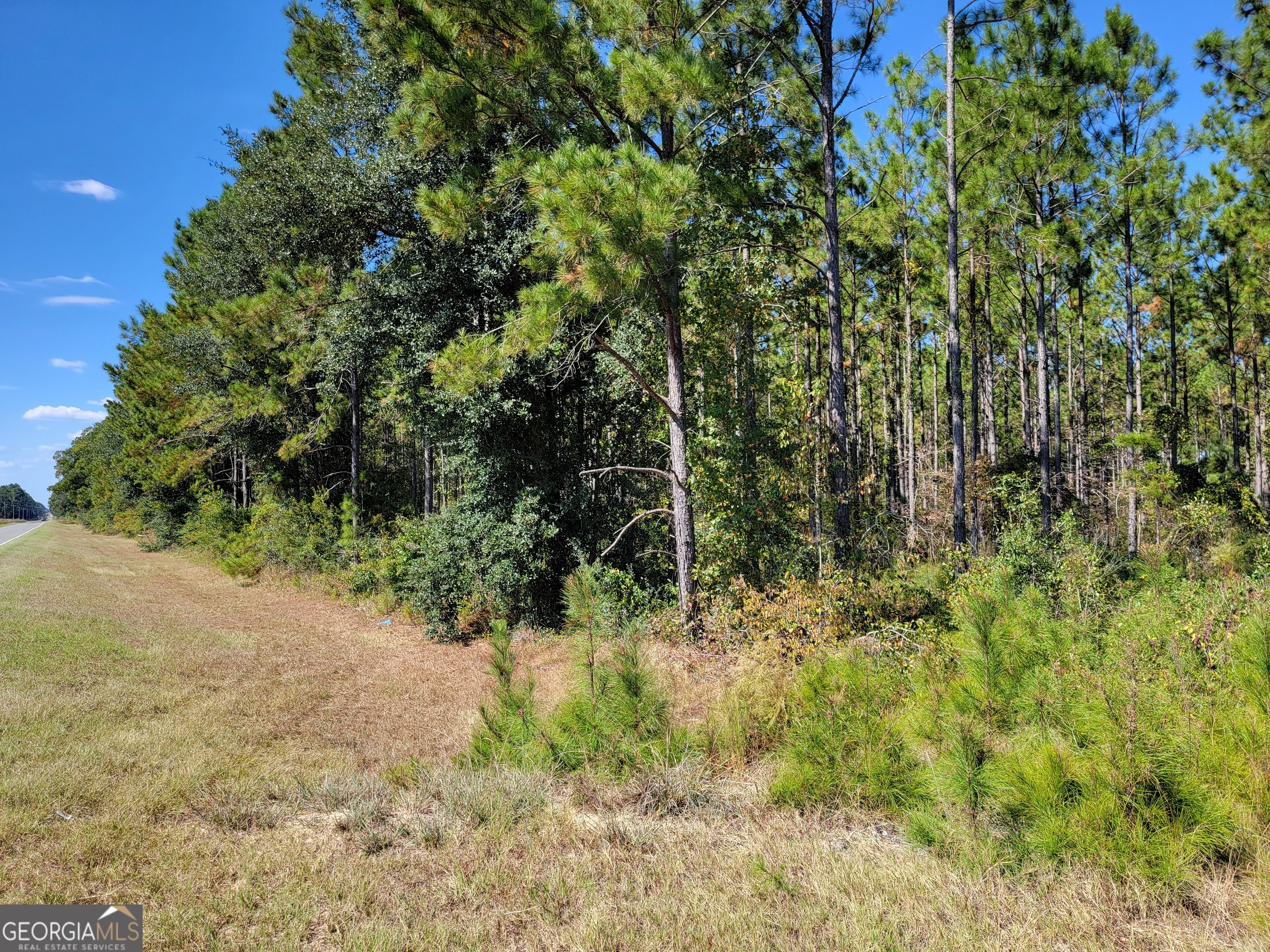 0 Tuton Road Baconton GA 31716