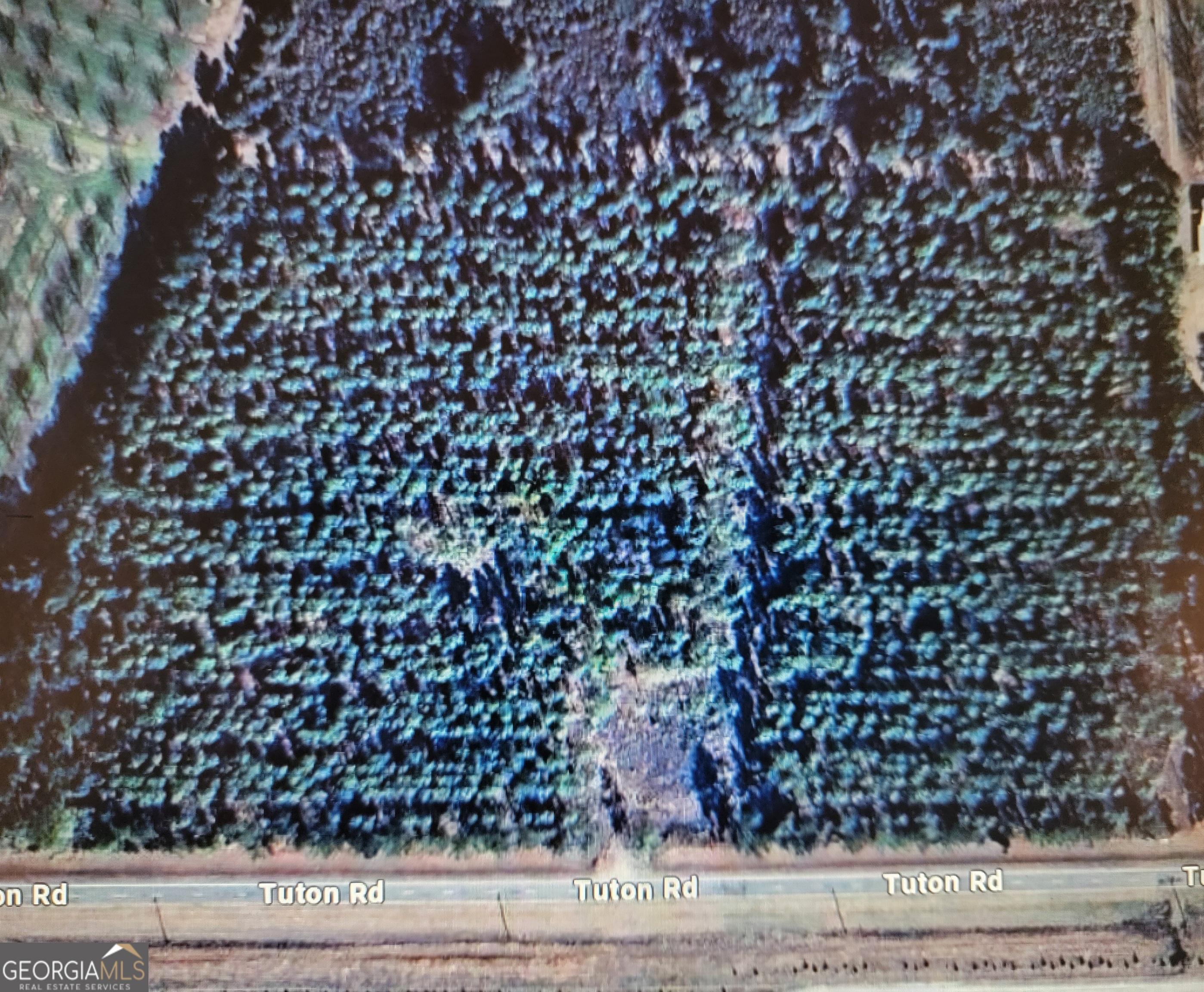 0 Tuton Road Baconton GA 31716