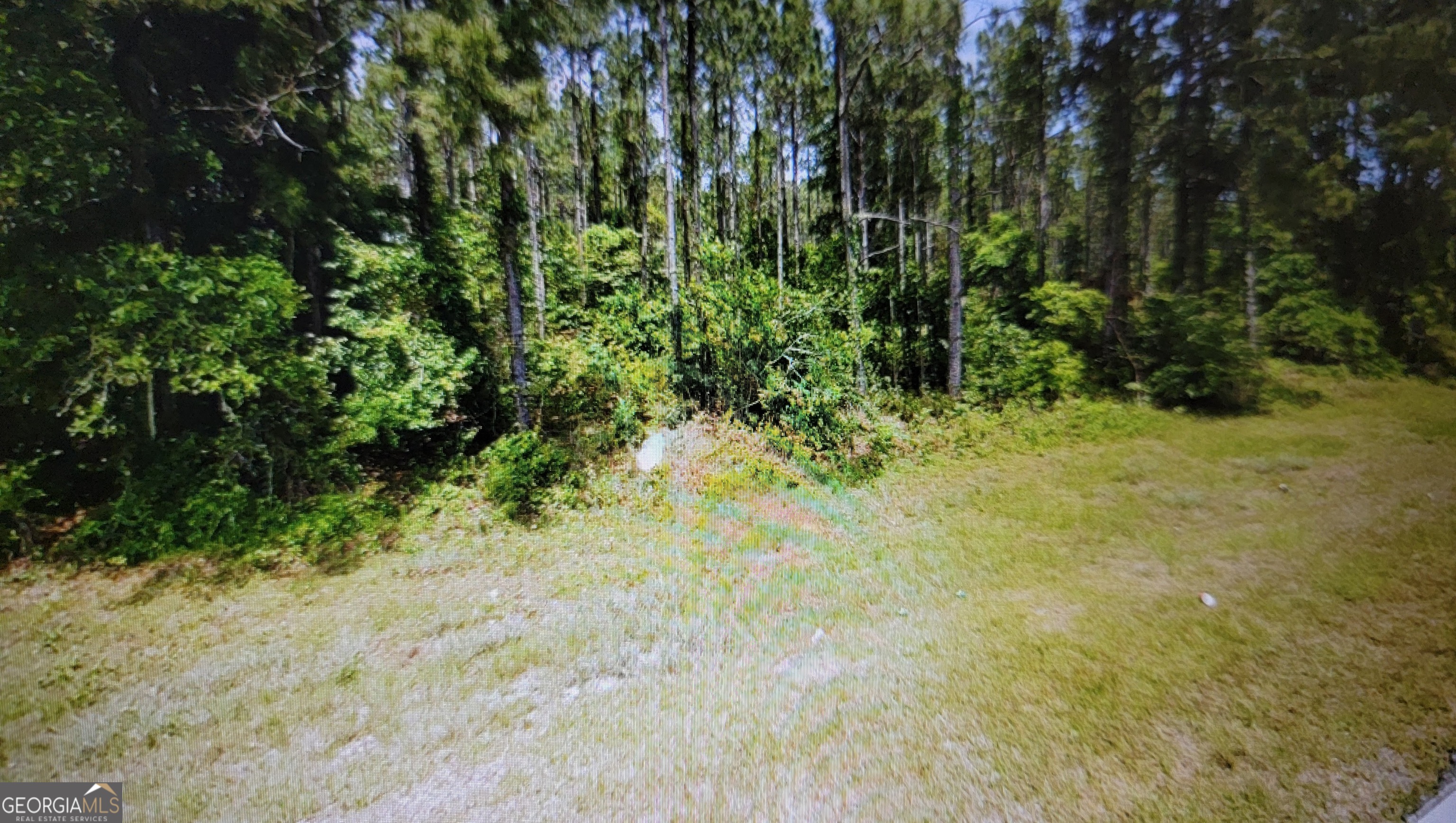 0 Tuton Road Baconton GA 31716