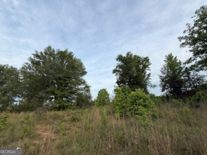 0 Camak School Road Norwood GA 30821
