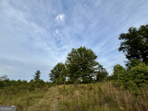 0 Camak School Road Norwood GA 30821