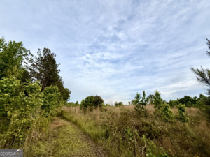 0 Camak School Road Norwood GA 30821