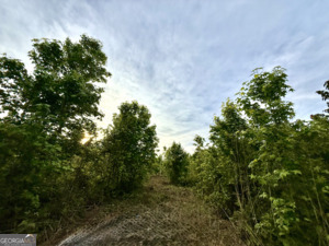 0 Camak School Road Norwood GA 30821