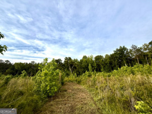 0 Camak School Road Norwood GA 30821