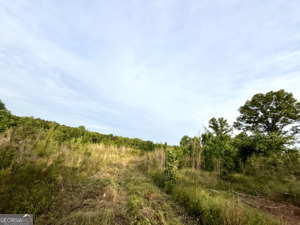 0 Camak School Road Norwood GA 30821