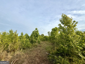 0 Camak School Road Norwood GA 30821