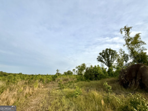 0 Camak School Road Norwood GA 30821