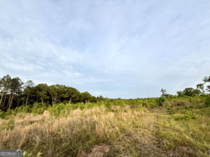0 Camak School Road Norwood GA 30821