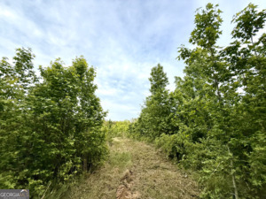 0 Camak School Road Norwood GA 30821