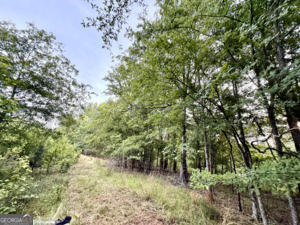 0 Camak School Road Norwood GA 30821