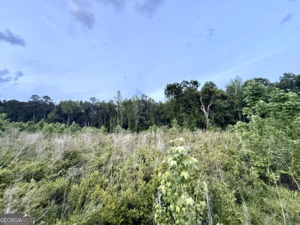 0 Camak School Road Norwood GA 30821