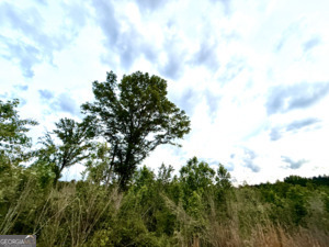0 Camak School Road Norwood GA 30821