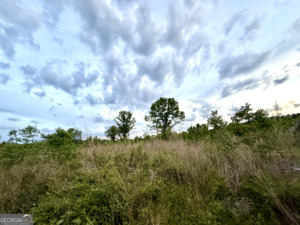 0 Camak School Road Norwood GA 30821